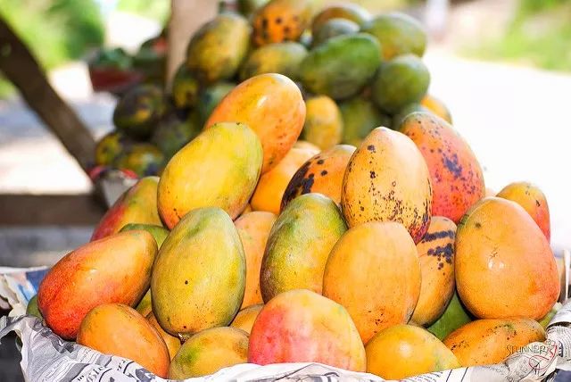 西盟·普洱民宿，偷得浮生半日閑心情半佛半神仙