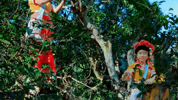 西盟·普洱民宿，偷得浮生半日閑心情半佛半神仙