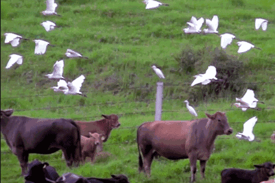 西盟·普洱民宿，偷得浮生半日閑心情半佛半神仙