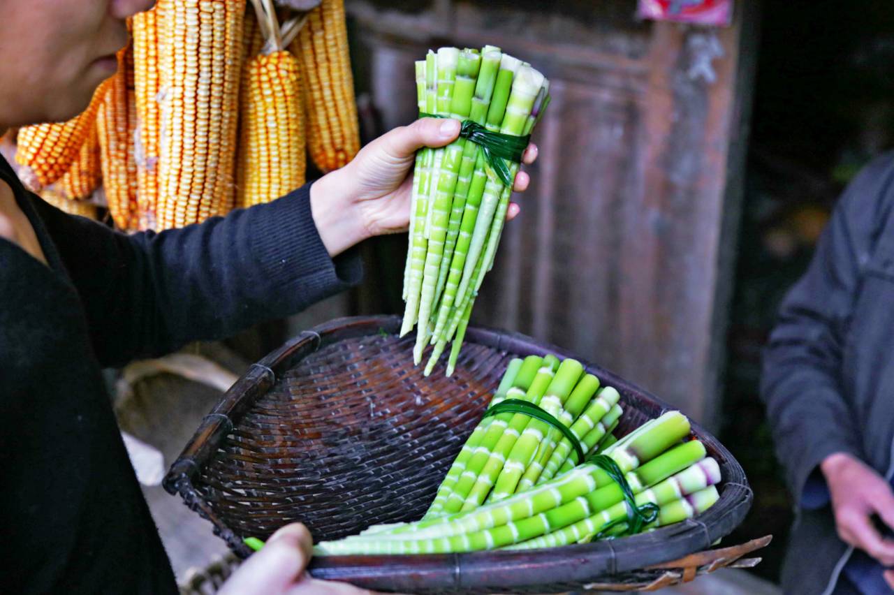 路之青城，在應(yīng)該努力的年紀(jì)留下精彩的痕跡！