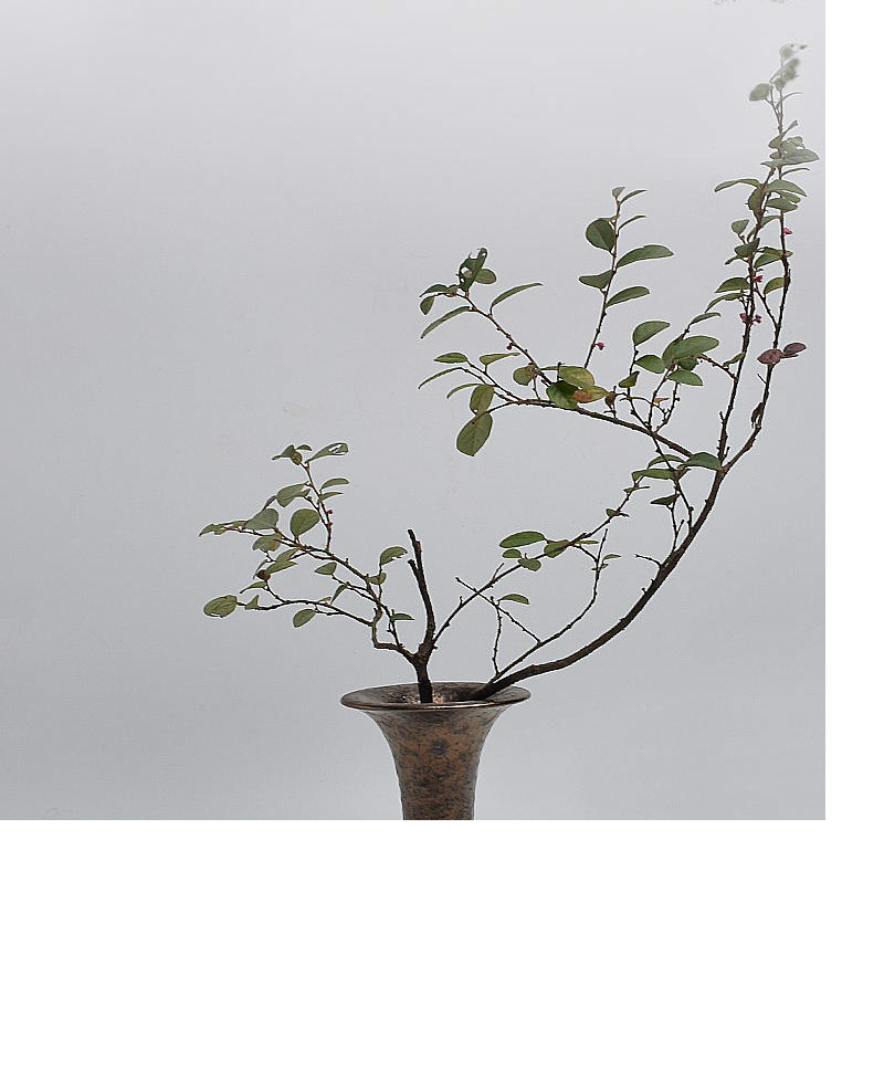 優(yōu)雅古韻插花藝術:天尊瓶花器中式插花