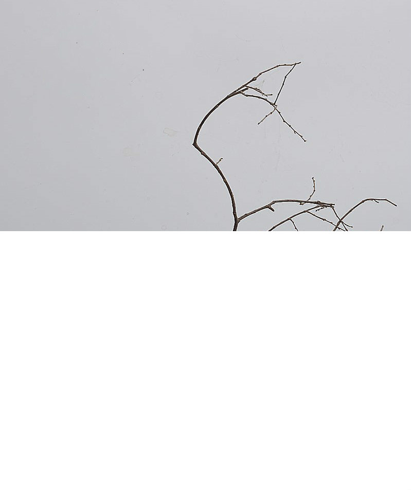 優(yōu)雅古韻插花藝術:天尊瓶花器中式插花