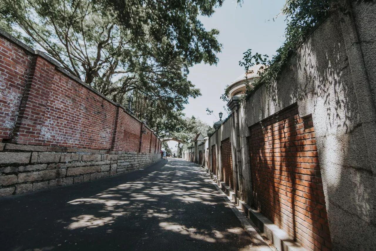 廈門·春草芬芳，體驗(yàn)面朝大海沐浴星辰的愜意芬