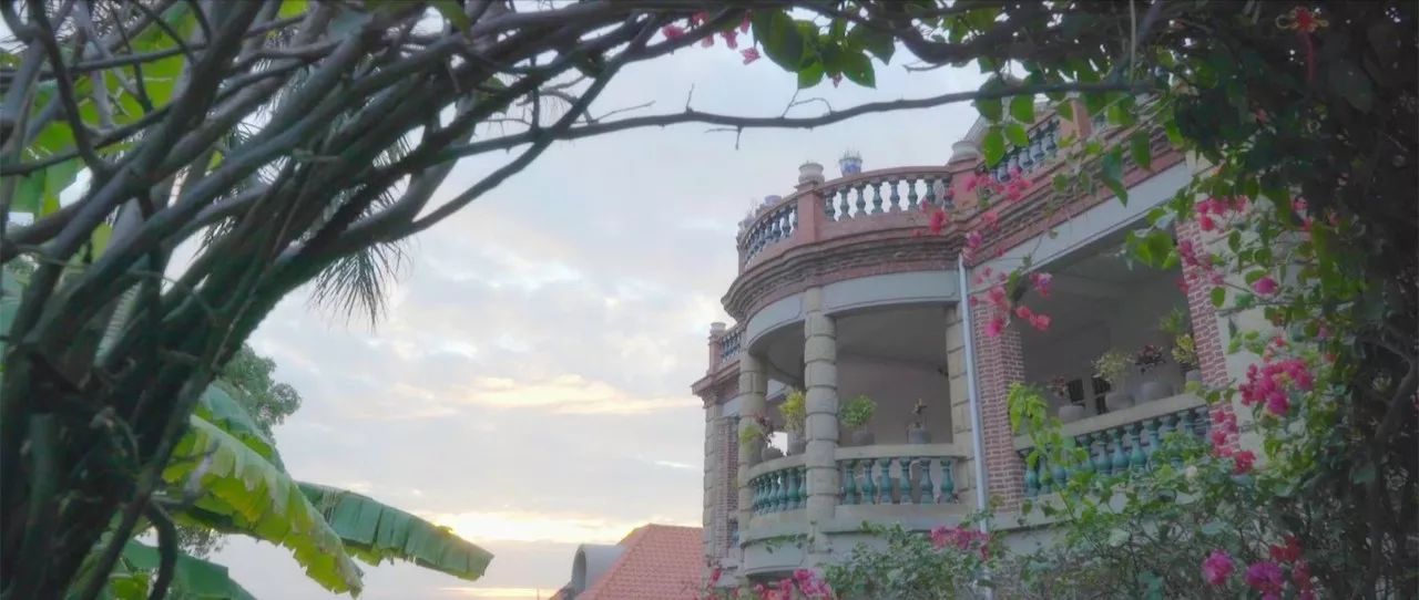 廈門·春草芬芳，體驗(yàn)面朝大海沐浴星辰的愜意芬