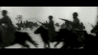 廈門·春草芬芳，體驗(yàn)面朝大海沐浴星辰的愜意芬