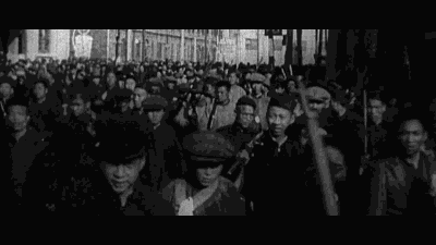 廈門·春草芬芳，體驗(yàn)面朝大海沐浴星辰的愜意芬