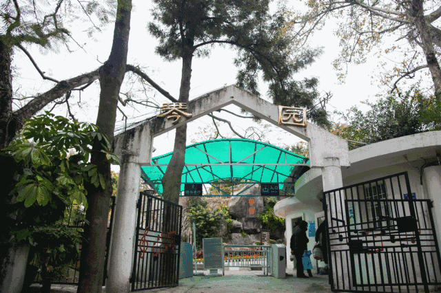 廈門·春草芬芳，體驗面朝大海沐浴星辰的愜意芬