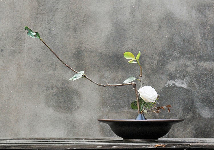 東方插花藝術:創(chuàng)意陶瓷花器中式插花