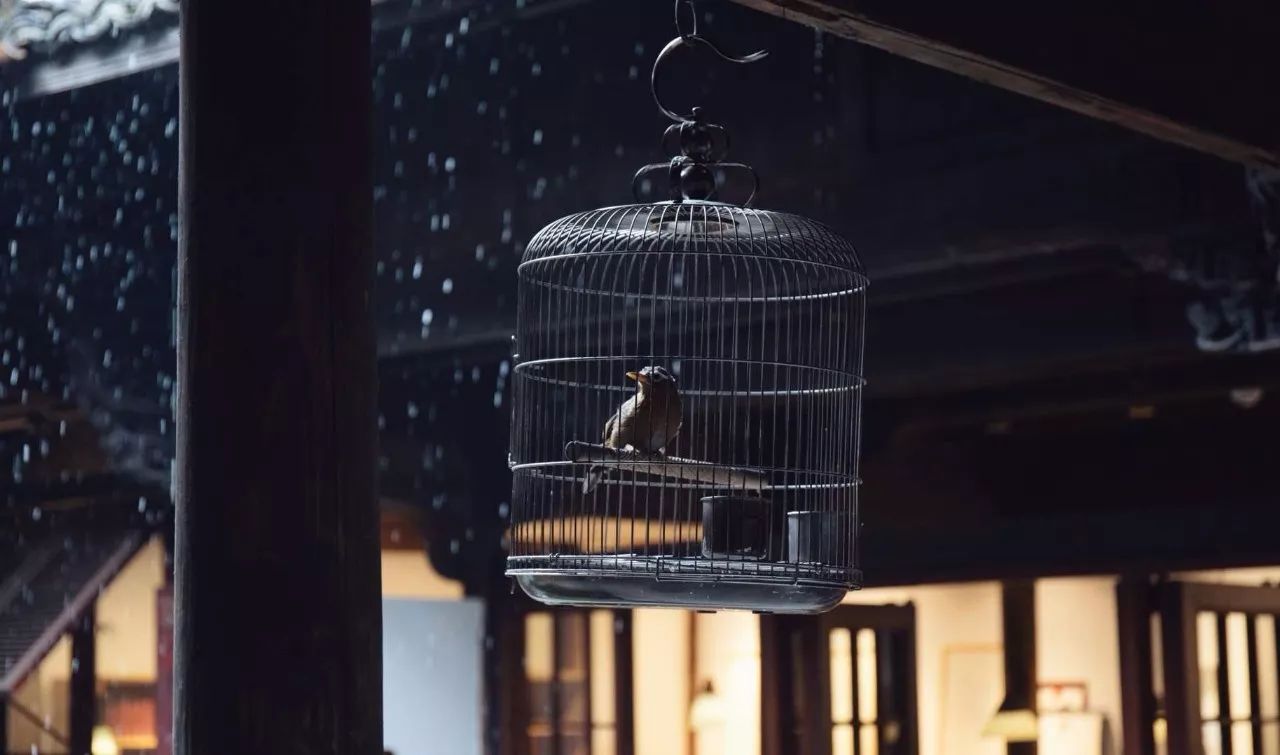 松陽·蔦舍，江南秘境里最溫暖的落腳處