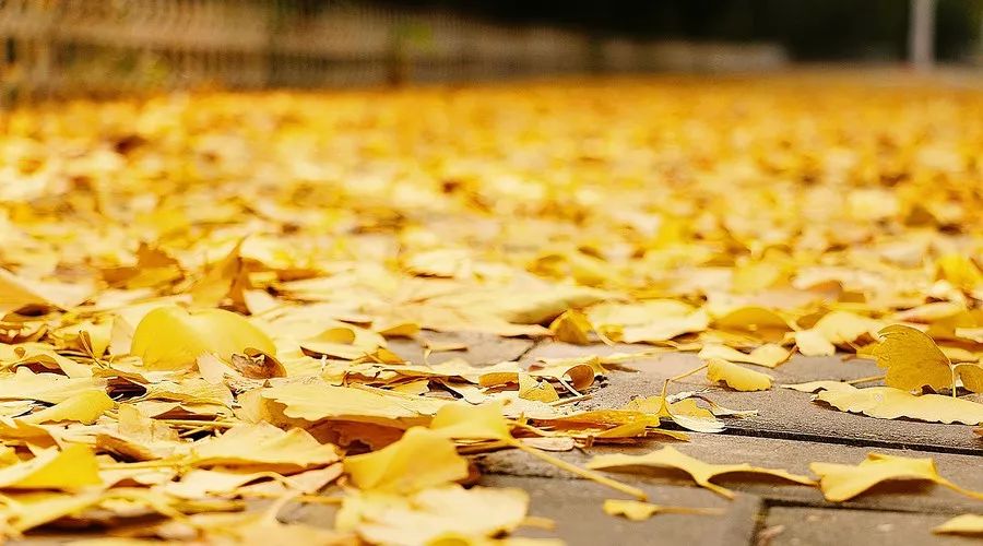 松陽·蔦舍，江南秘境里最溫暖的落腳處