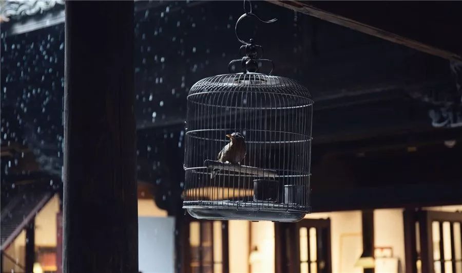 松陽·蔦舍，江南秘境里最溫暖的落腳處