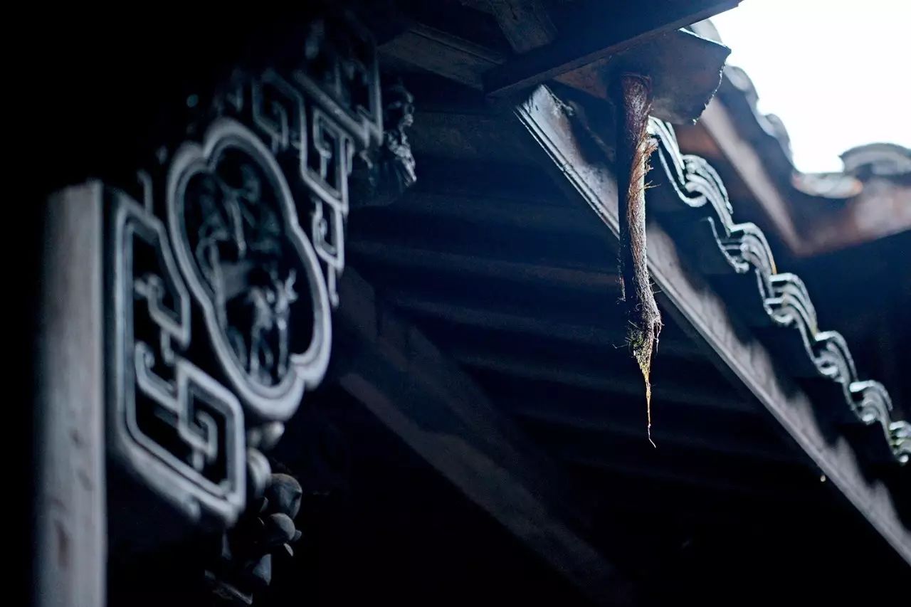 松陽·蔦舍，江南秘境里最溫暖的落腳處