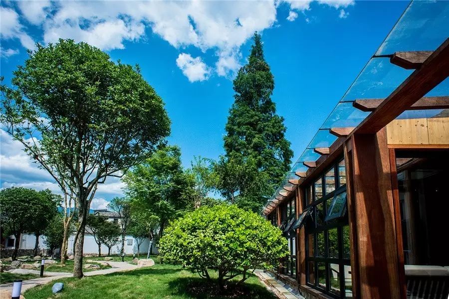 松陽·蔦舍，江南秘境里最溫暖的落腳處