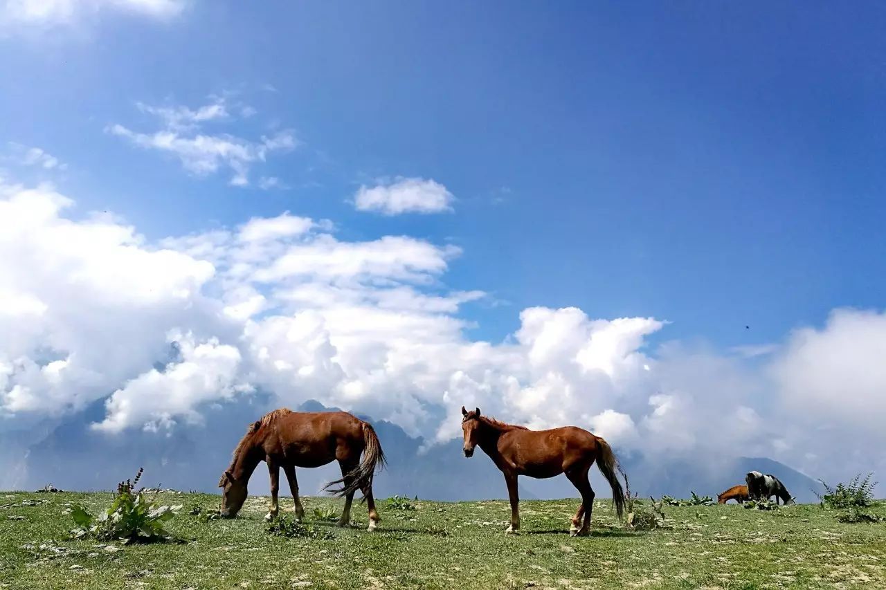 成都·瓦舍：4個景點吃喝玩樂體驗成都從容氣息