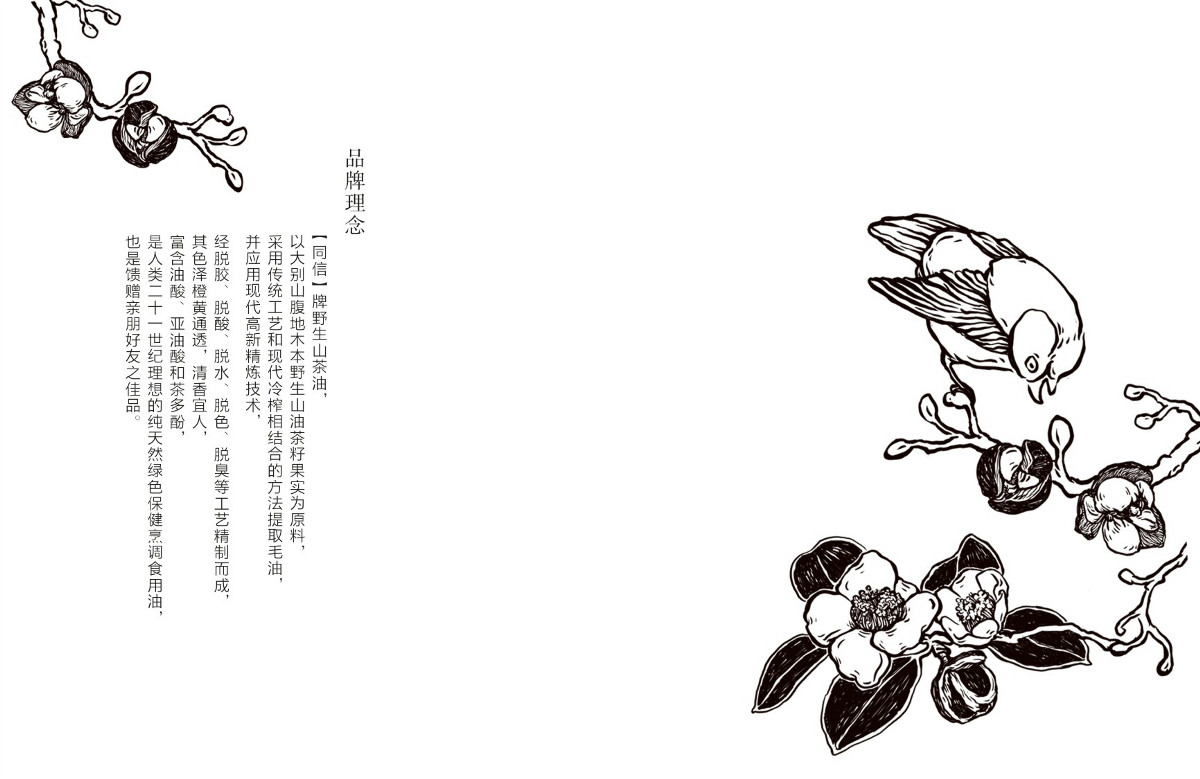 山茶油包裝設(shè)計(jì)，手繪圖案食品包裝設(shè)計(jì)