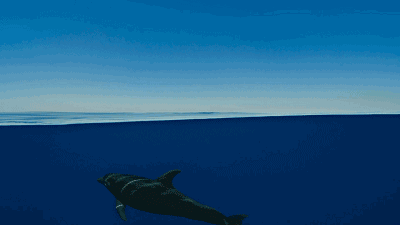 青島·棲瀾海居，在美麗的海濱城市播下詩(shī)的種子