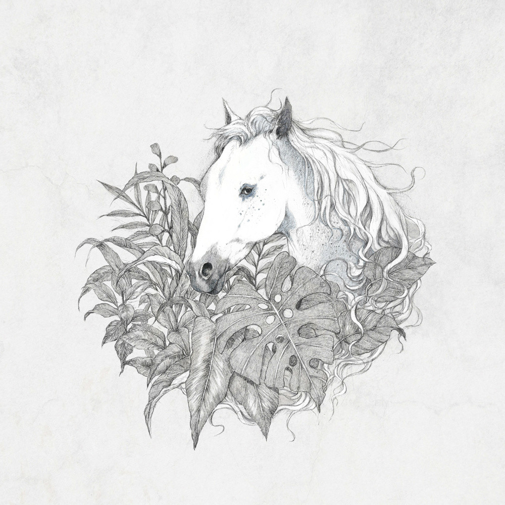 手繪動物插畫設(shè)計，黑白創(chuàng)意插畫圖片