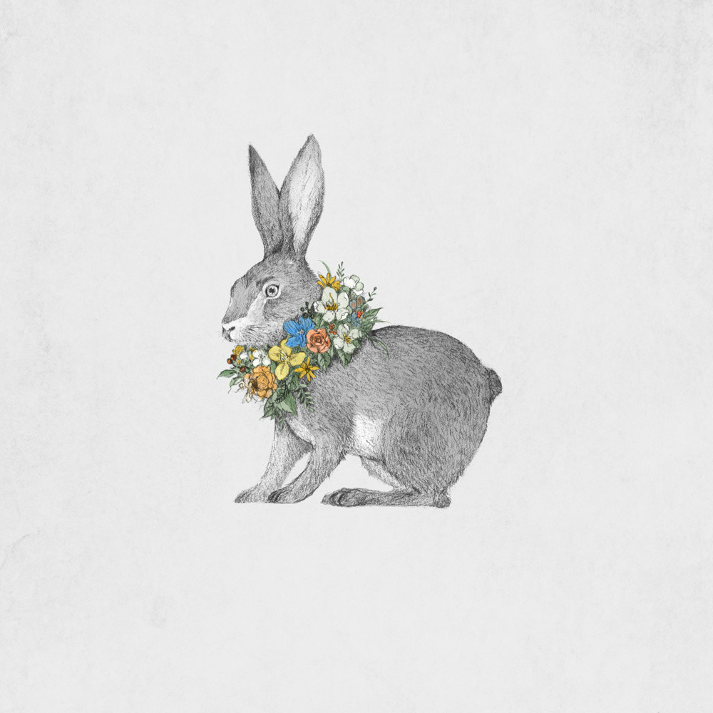 手繪動物插畫設(shè)計，黑白創(chuàng)意插畫圖片