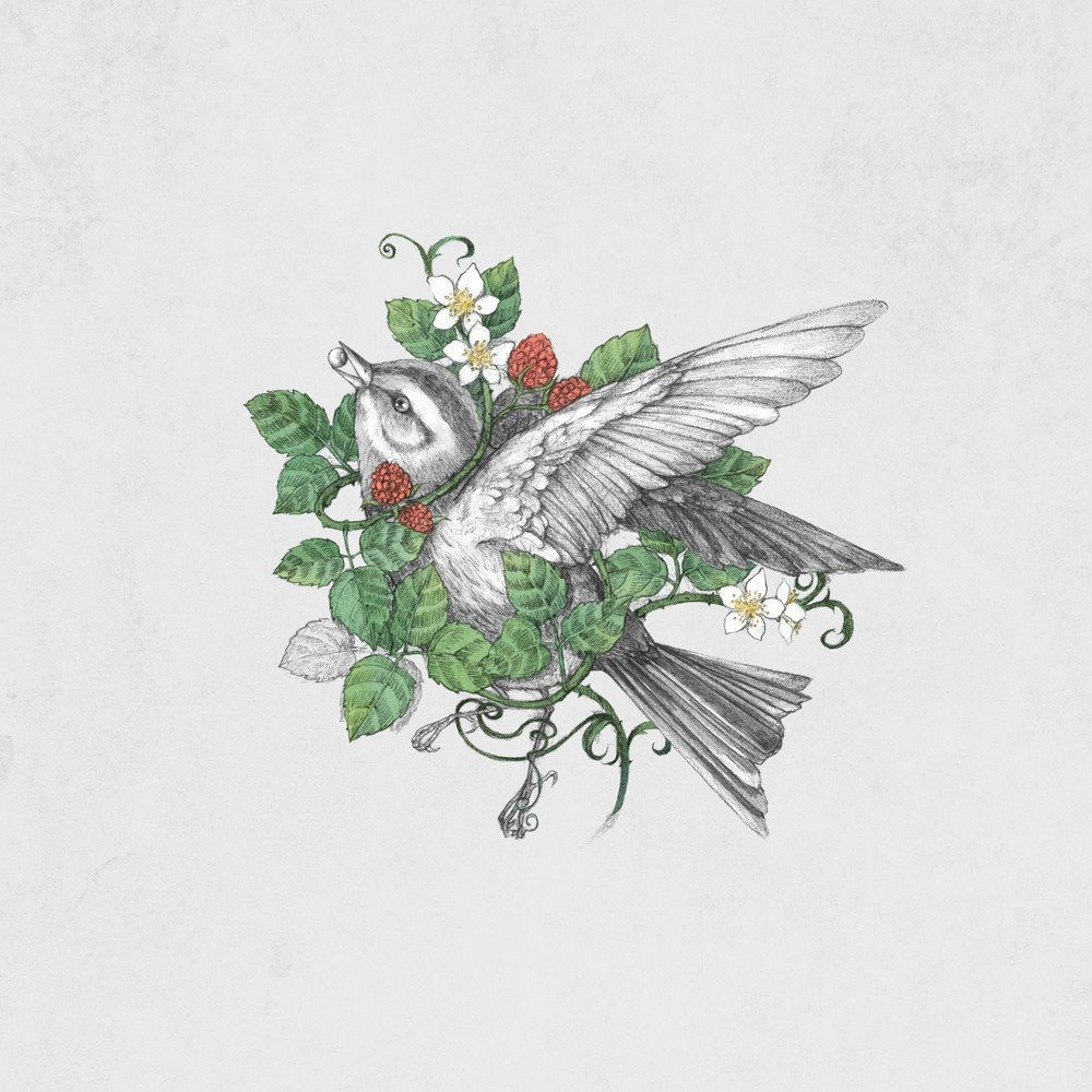 手繪動物插畫設(shè)計，黑白創(chuàng)意插畫圖片