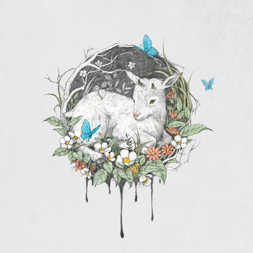 手繪動物插畫設(shè)計，黑白創(chuàng)意插畫圖片