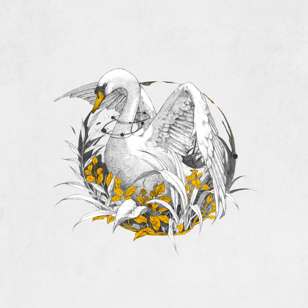 手繪動物插畫設(shè)計，黑白創(chuàng)意插畫圖片