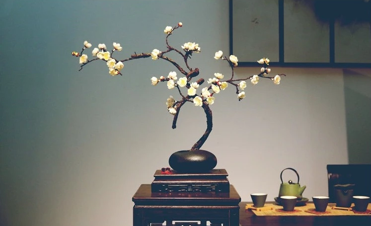 禪意藝術(shù)插花:梅花中式插花花藝圖片