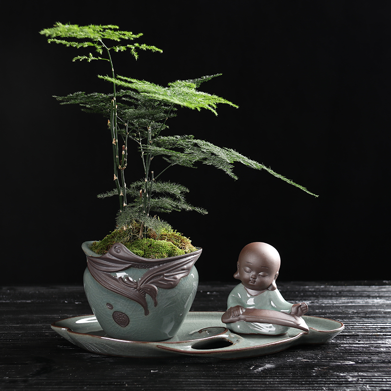 復(fù)古家佳樂文學(xué)文竹盆景，禪意小和尚盆景