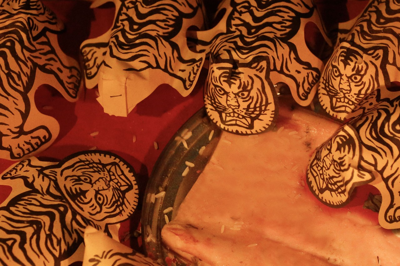 民俗驚蟄含義：驚蟄時節(jié)春雷一響萬物長