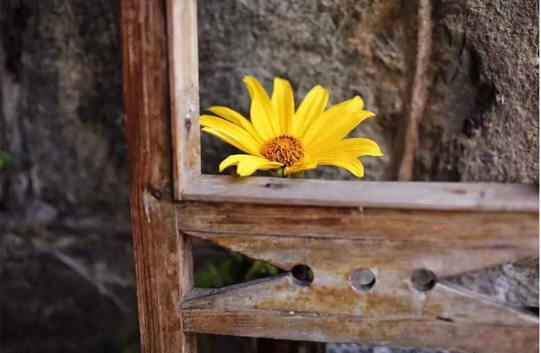 古山重水云間，細水長流吸引你