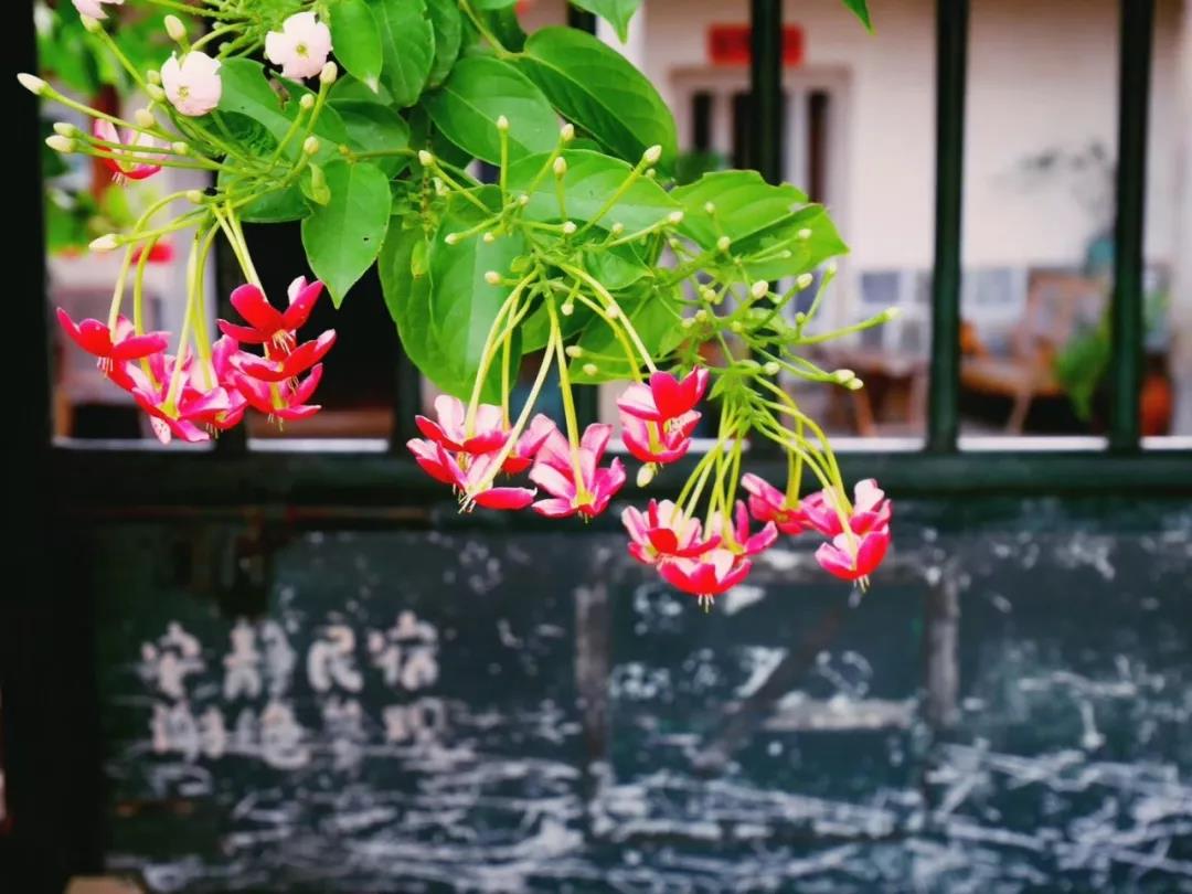 古山重水云間，細(xì)水長流吸引你