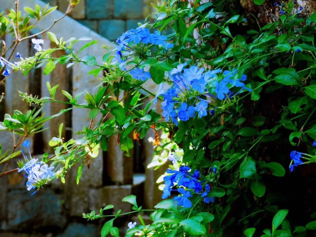 古山重水云間，細(xì)水長(zhǎng)流吸引你