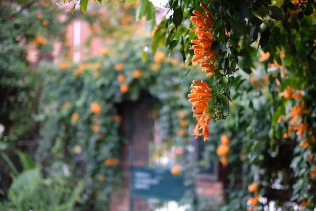 古山重水云間，細(xì)水長(zhǎng)流吸引你