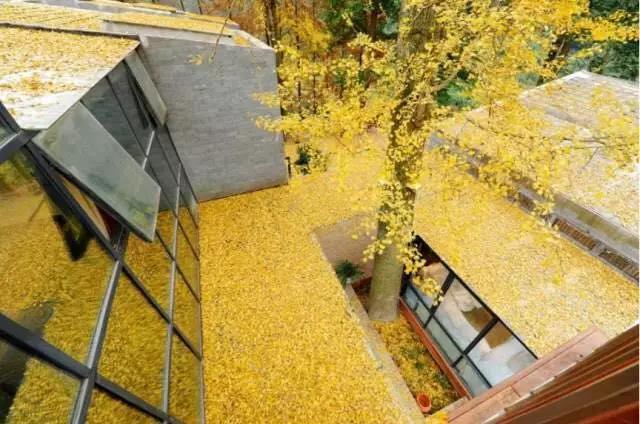 上山上去生活吧，上山上迎你還家！