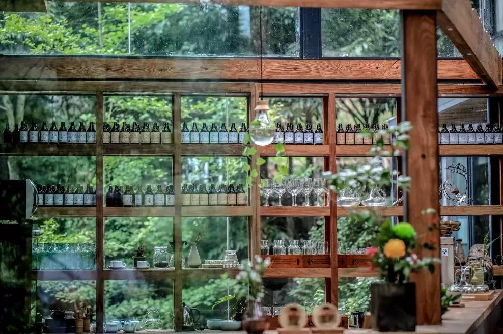 上山上去生活吧，上山上迎你還家！