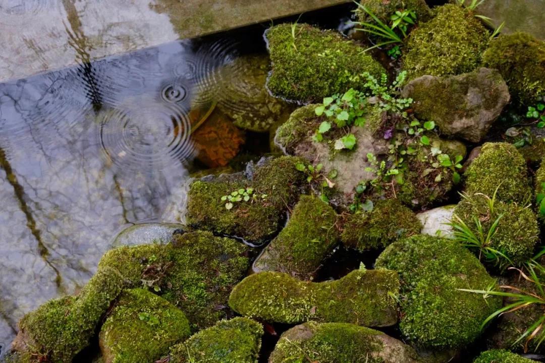 上山上去生活吧，上山上迎你還家！