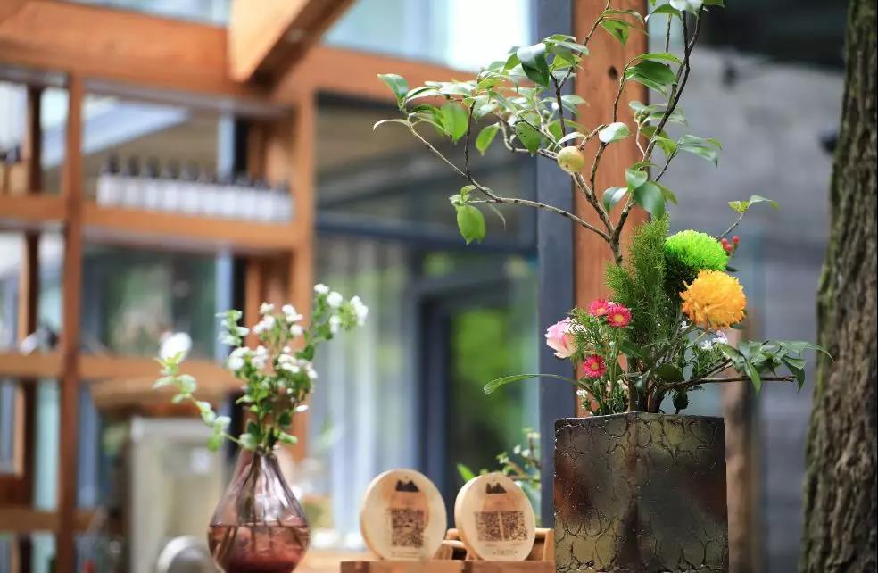 上山上去生活吧，上山上迎你還家！