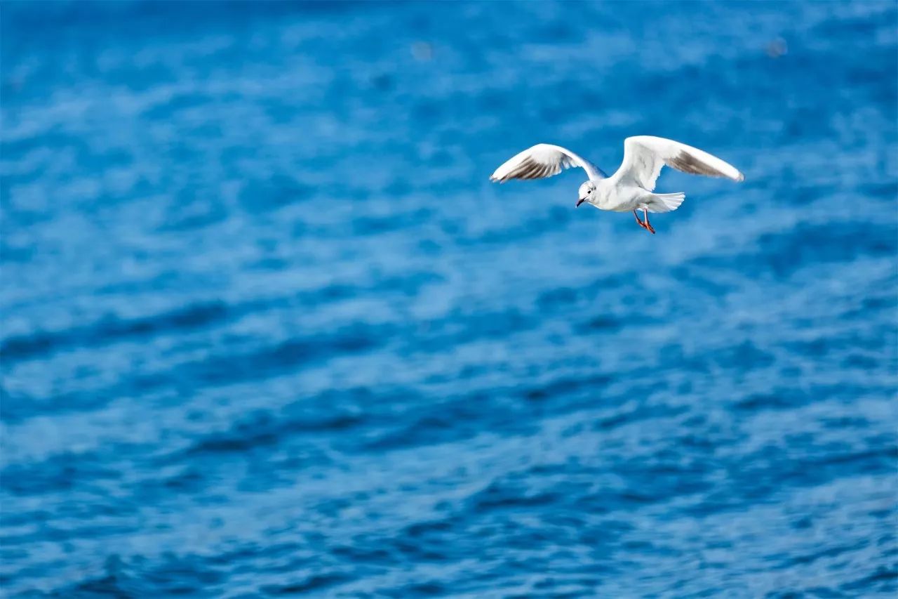 璞山云美·女兒國(guó)酒店，瀘沽湖的一場(chǎng)旅行！