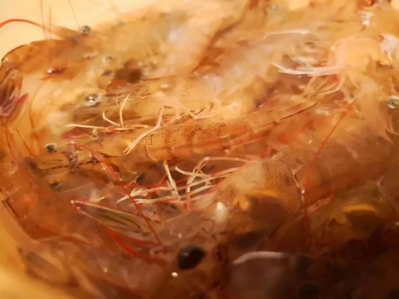 璞山云美·女兒國(guó)酒店，瀘沽湖的一場(chǎng)旅行！