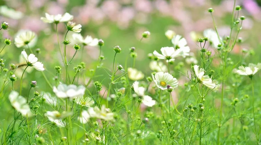 璞山云美·女兒國(guó)酒店，瀘沽湖的一場(chǎng)旅行！