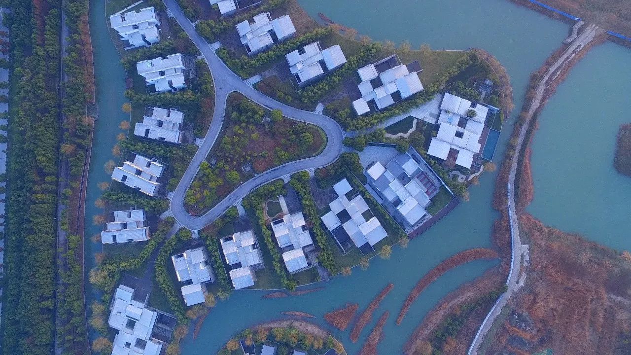 中香界·上海別院，萬水千山總是情！