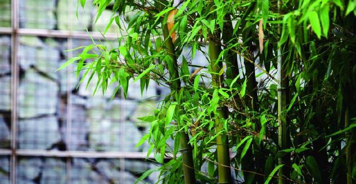 中香界·上海別院，萬水千山總是情！