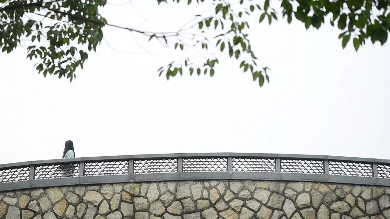 中香界·上海別院，萬水千山總是情！