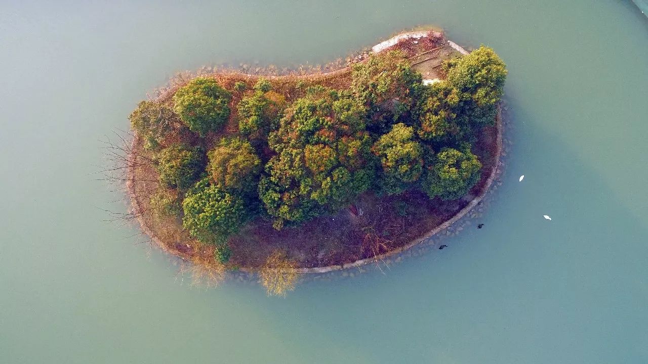 中香界·上海別院，萬水千山總是情！