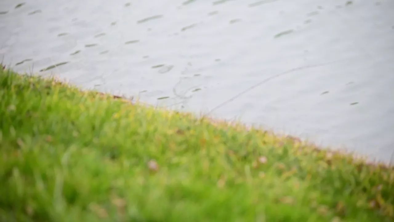 中香界·上海別院，萬水千山總是情！