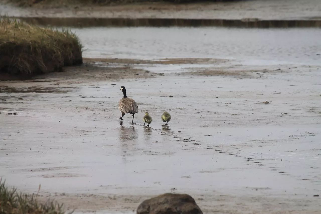 中香界·上海別院，萬水千山總是情！