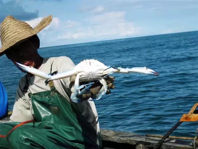潿洲島·頤客潮宿，有一個(gè)夢(mèng)面朝大海春暖花開(kāi)