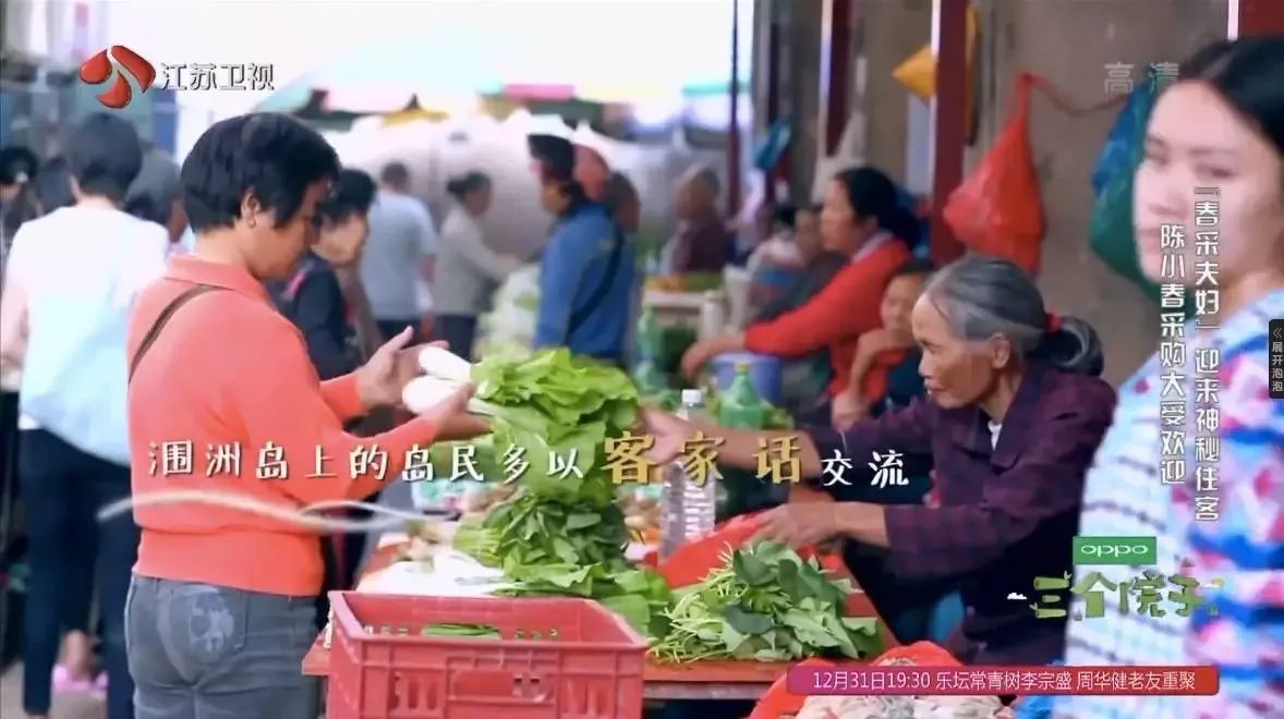 潿洲島·頤客潮宿，有一個(gè)夢(mèng)面朝大海春暖花開(kāi)