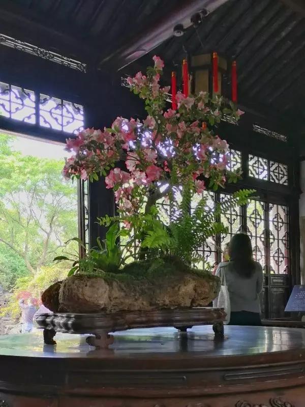 中國(guó)的四大名園，意想不到的風(fēng)景園林美!