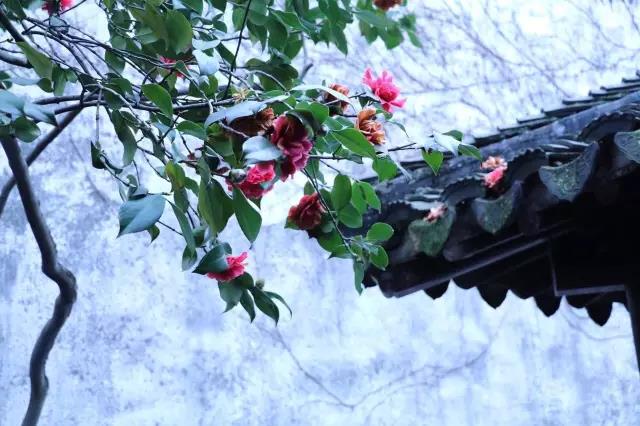 中國(guó)的四大名園，意想不到的風(fēng)景園林美!