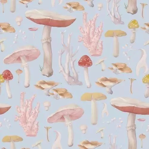 風(fēng)格獨特的插畫圖片，時尚清新色調(diào)手繪插畫